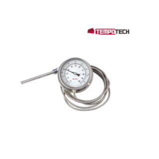 Image: Temperatrue Gauge
