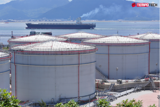 Multipoint RTD sensors in LNG storage